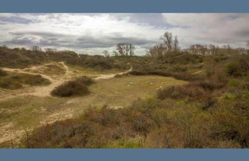 Villa in Borstendorf Nahe Erzgebirge - Foto 57