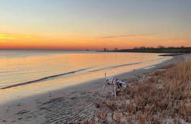 FeWo Lütt Nest in Sankt Margarethen Hunde sind herzlich willkommen - Photo 27