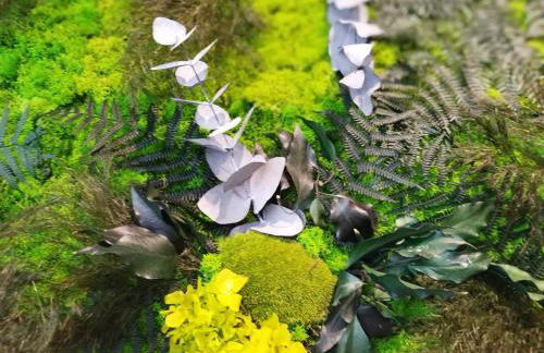 Sole Boutique Hotel - Foto 6