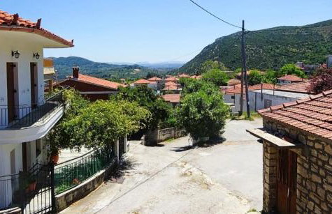 Petrino Minimal - Foto 50