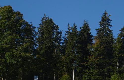 Apartment Almberg - Foto 55