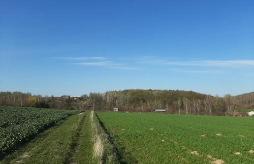 Agroturystyka w Dolinie Stawów - Photo 38