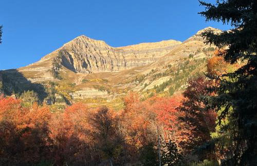 Rustic Sundance cabin sleeps 13 hottub firepits - Foto 60