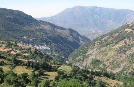 Alojamientos Rurales Benarum con Spa - Foto 41