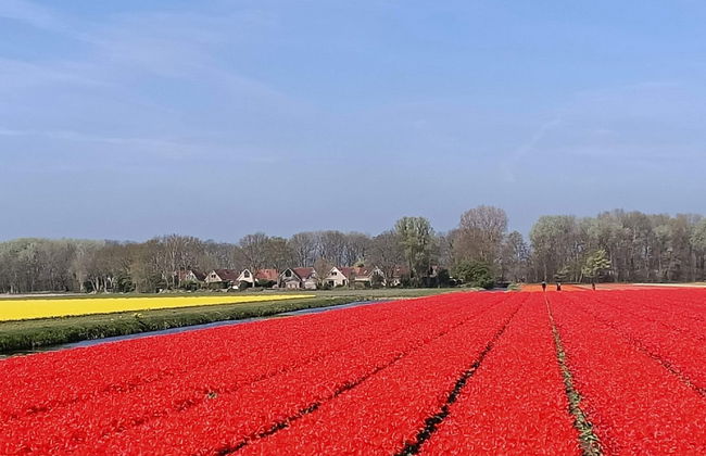 4 bedroom House in Noordwijk with garden and terrace - Photo 13