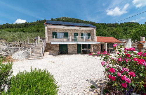 Villa Žuža - Foto 72