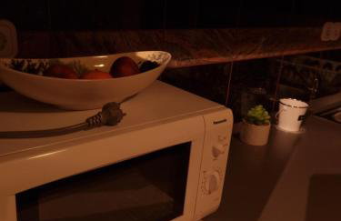 Apartman Goran - 130m Radiochirurgia - Foto 56