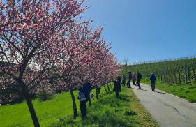 Ferienhaus am Gässchen - Foto 46