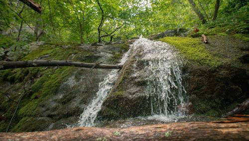 Sunset Cabin Privacy, Views, HotTub, Firepit, BBQ, Pets - Photo 5