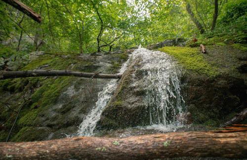 Sunset Cabin Privacy, Views, HotTub, Firepit, BBQ, Pets - Photo 5