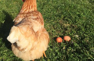 Ababo Affittacamere - Foto 9