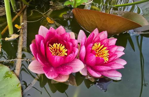 Les Oliviers Du Lac - Foto 9