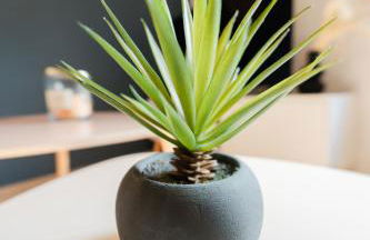 Vina Rhona - Studio de charme tout équipé entre Rhône et Vignobles de Condrieu - Foto 37