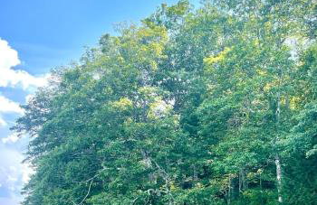 Nautilus Floating Island Cabin - Foto 17