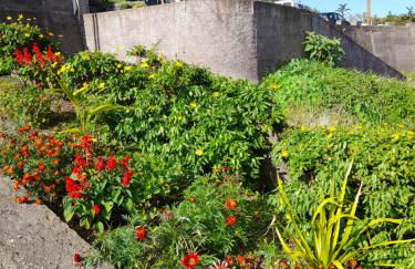 Panoramic Ocean View House - Foto 14