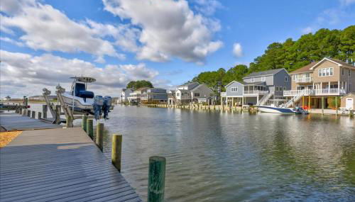 Coastal Crab - Foto 3