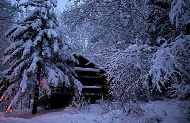 Cozy Cabin Rental with Fireplace near Killington Mountains in Vermont - Foto 10