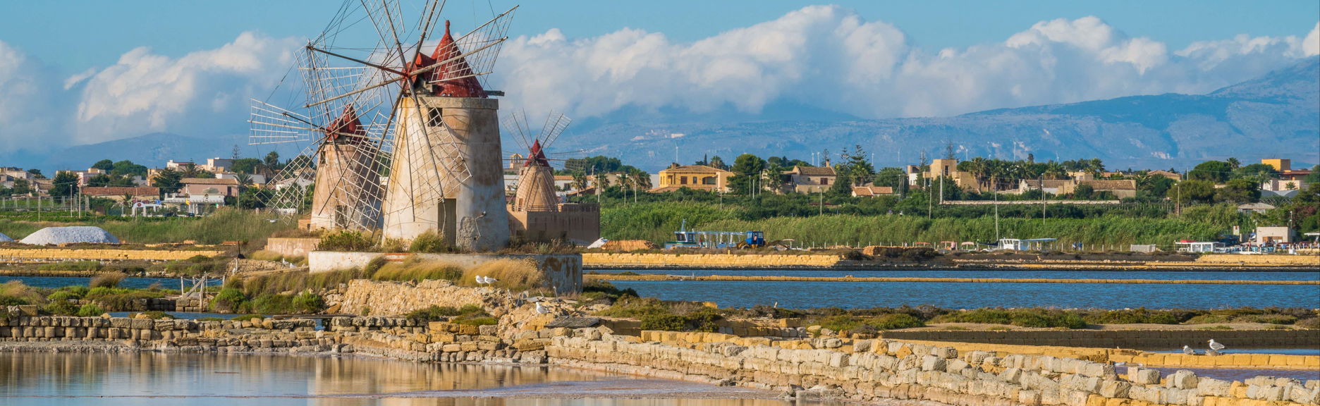 Excursion aux Salines de Stagnone + Balade en bateau
