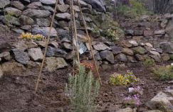 La terrasse des volcans - Foto 28
