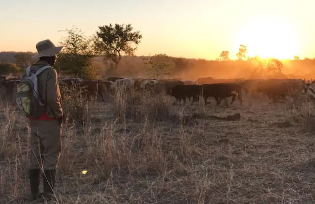 Bungalow 2 on This World Renowned Eco Site 40 Minutes From Vic Falls Fully Catered Stay - 1982 - Foto 7