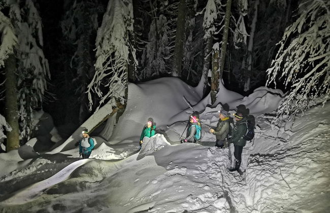 Cottage Suha - Foto 14