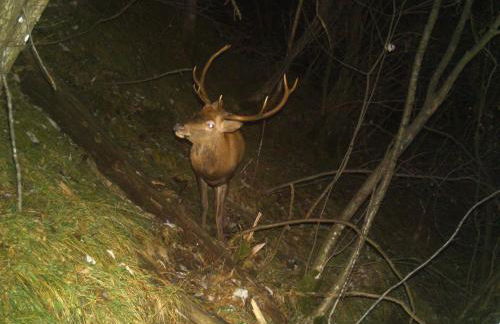 Casa Vacanze La Vite - Foto 42