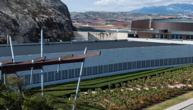 Royal Vineyard (Alava) - Photo 3