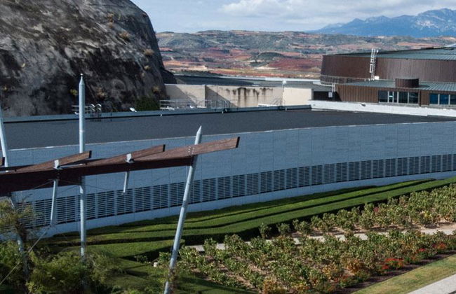 Royal Vineyard (Alava) - Photo 3