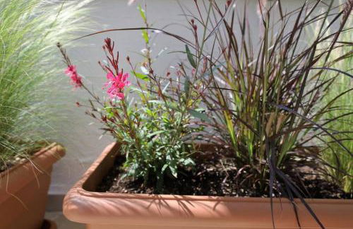 Το σπίτι δίπλα στη θάλασσα / The house by the sea - Foto 14