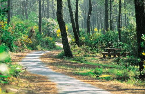 Appartement La Villa Gayrou - Foto 12