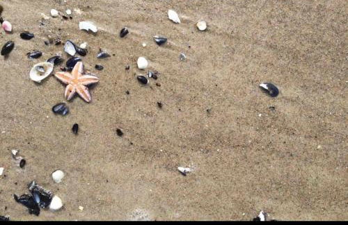 Die kleine Acht - direkt am Strand - Foto 26