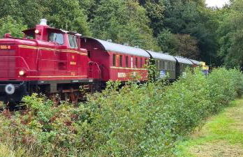 Ferienwohnung Baltrum auf dem Elisenhof Hagermarsch - Foto 35