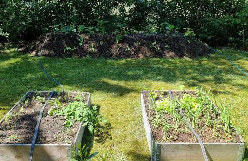 Pommernhaus Josephinenhof, Sauna, Kamin, Ruderboot - Foto 10