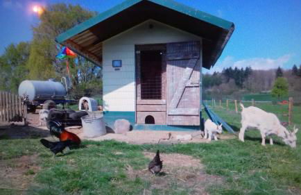 Kleine einzigartige Ferienwohnung auf dem Bauernhof, direkt in der Natur mit Blick auf Schloss Braunfels - Foto 43
