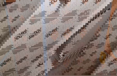 Marinho de Andrade - Foto 69