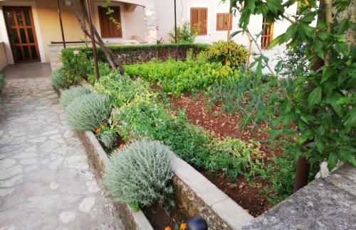 Apartments Drpic - Foto 24