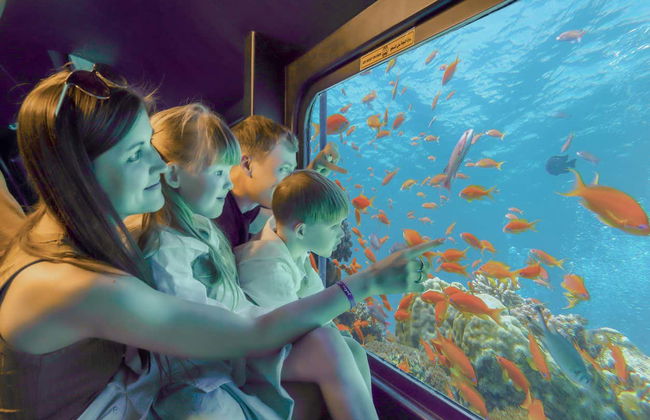 Paseo en barco con visión submarina por el Mar Rojo - Foto 8