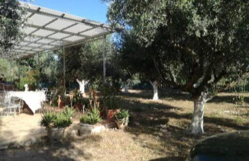 Sunny holiday home - Foto 19