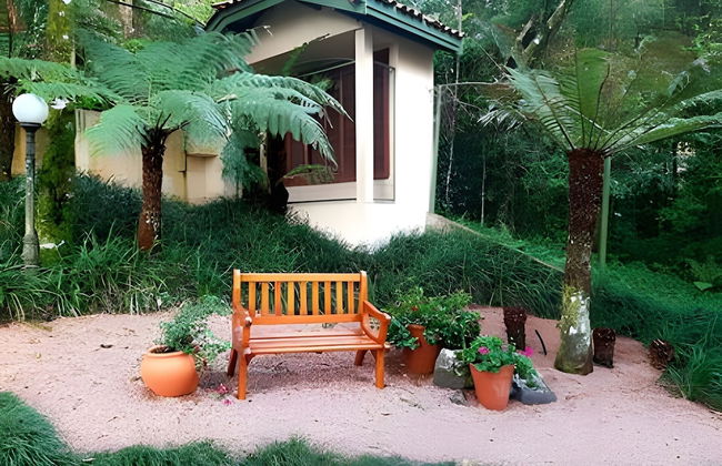 Siga Gramado - A pé - Conforto Completo - Foto 39