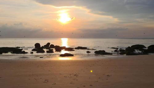 Le cottage sauvage - Foto 3