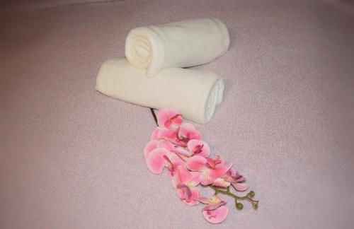 Edelstein Ferienwohnung Philippsreut - Foto 18