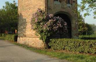 Antica Grancia Benedettina - Foto 23