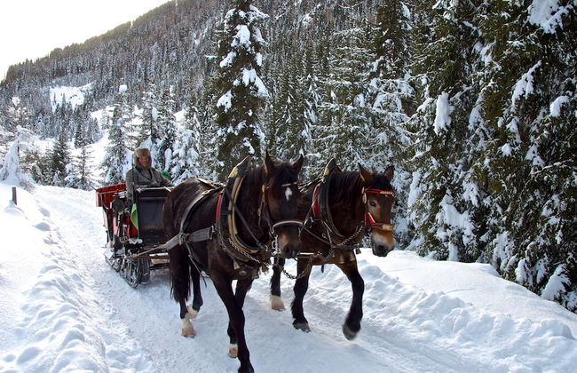 AlpenParks Apartment Montana Matrei - Foto 31