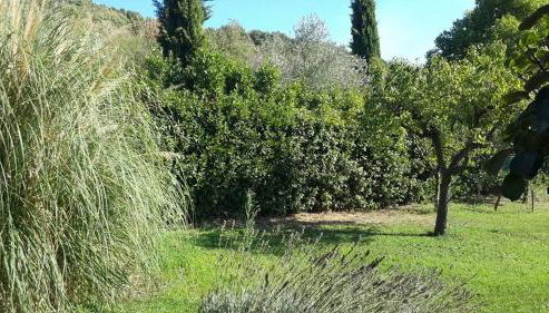 Casa Bella Vista Trevignano Romano - Foto 3, Garden