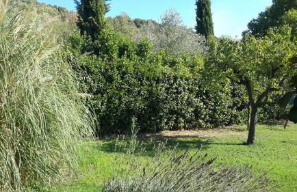 Casa Bella Vista Trevignano Romano - Foto 3