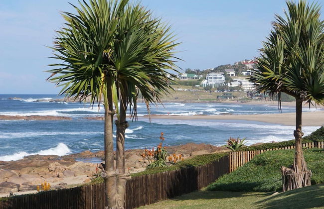 Southern Comfort - Starfish - Foto 20