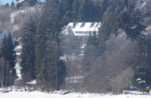 Ferienwohnung Seeblick Nr 1 ,Feldberg Bärental - Foto 23