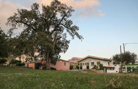 Barone GR Macrì Agriturismo Modi - Foto 46