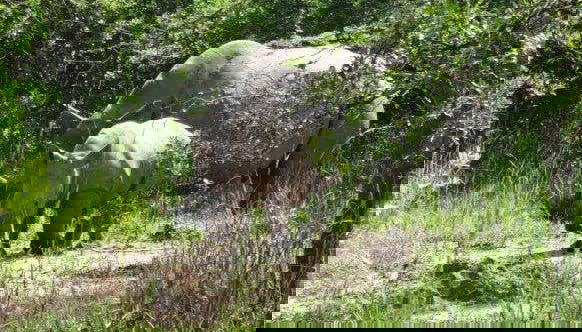 Viendo rinocerontes en Uganda