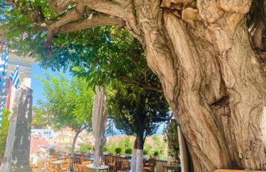 Rose Boho House, Kea, Ioulis - Photo 69